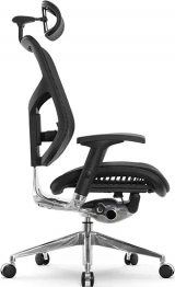 Expert Star Ergo